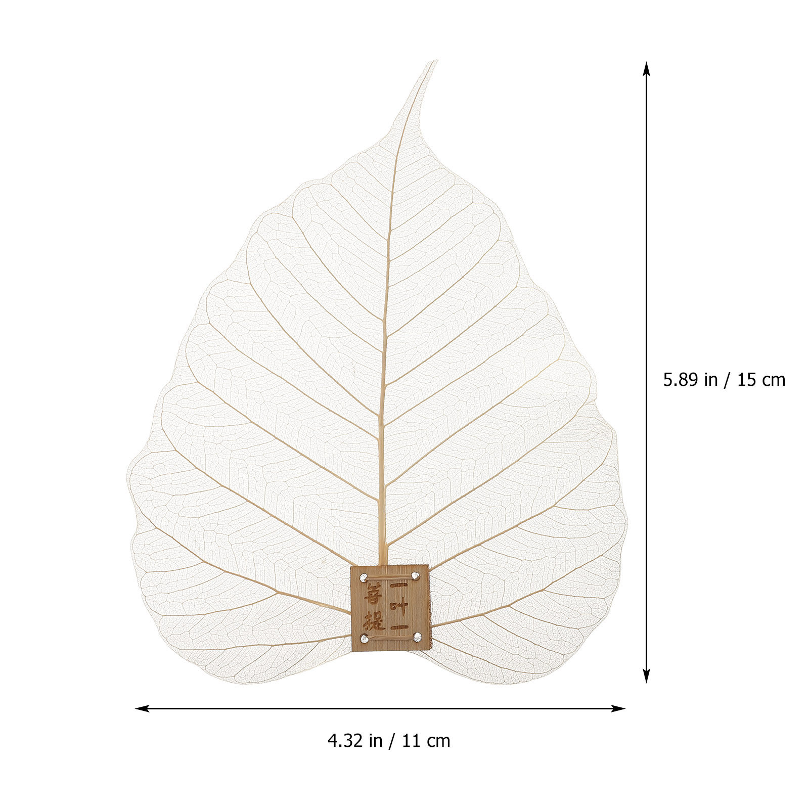 Strainer Filter Leaf Shape Fin - đánh giá và giá Home Bar Supplies